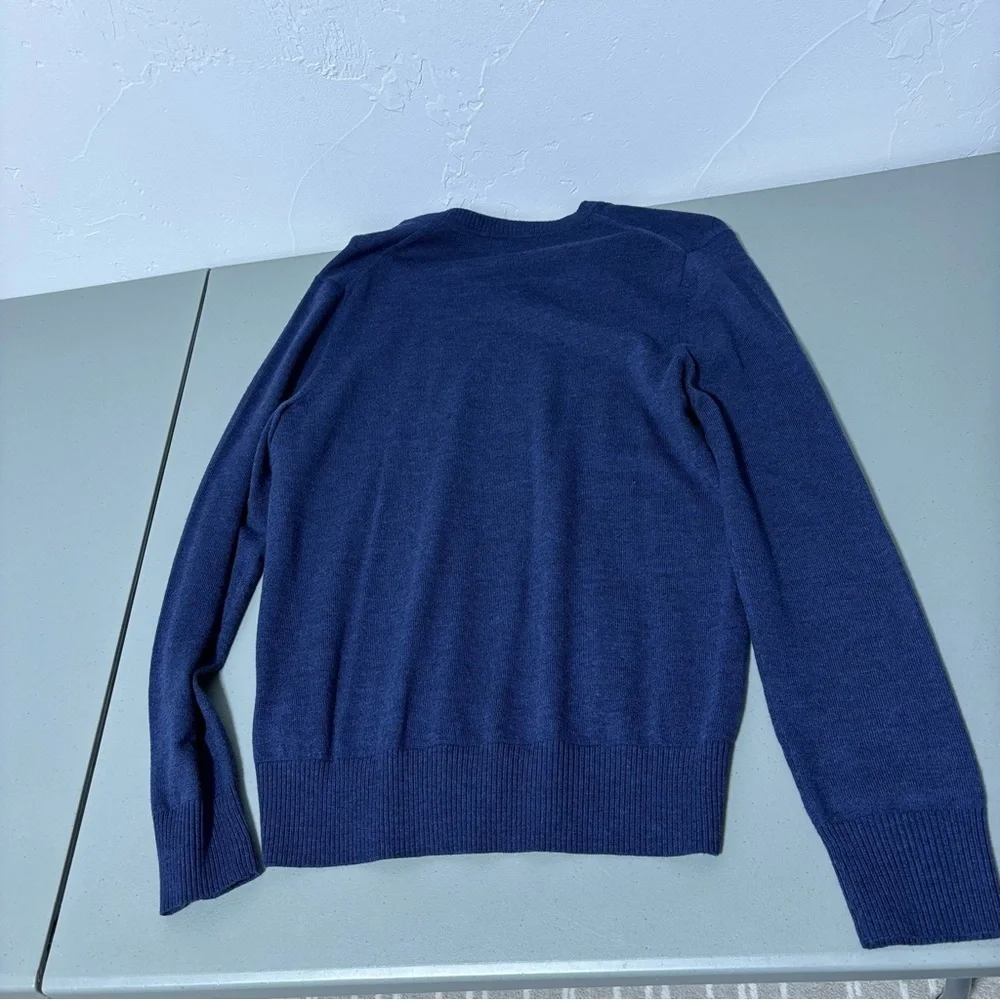 Banana Republic Extra Fine Merino Wool Sweater Medium Men's Blue Navy V Neck Vee